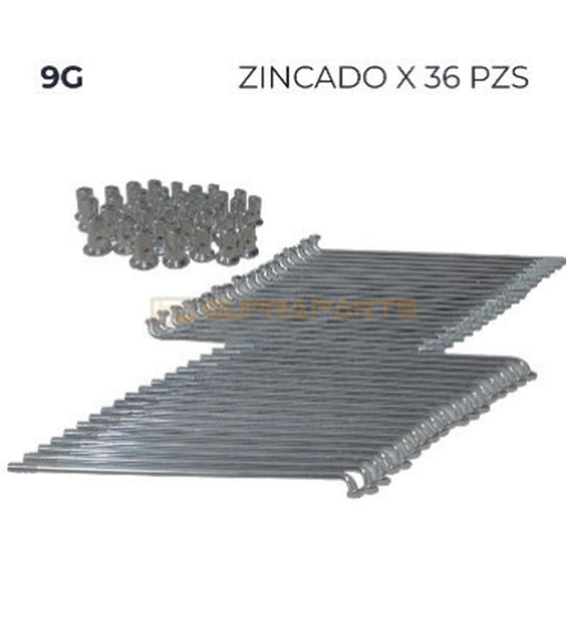 RADIOS 9GX240 DT 125/175 F.D SUPRAPARTS